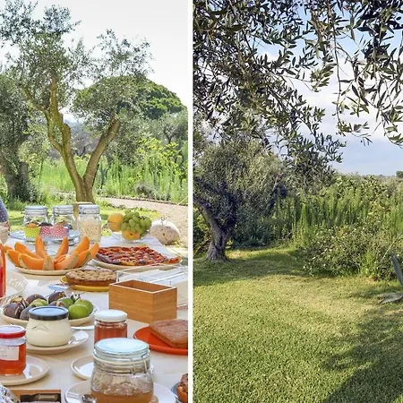 Masseria Ceratonia By Raro *